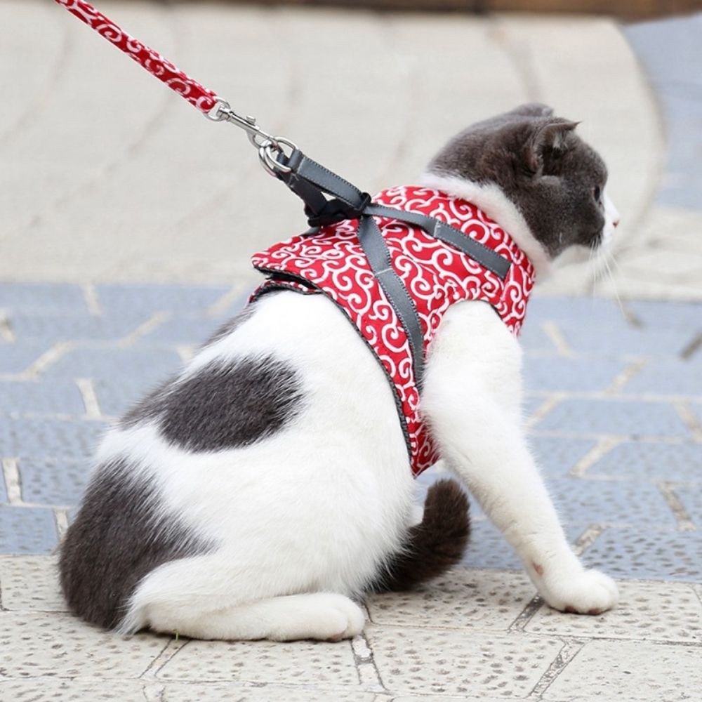 Schwarzes Katzen-Geschirrset