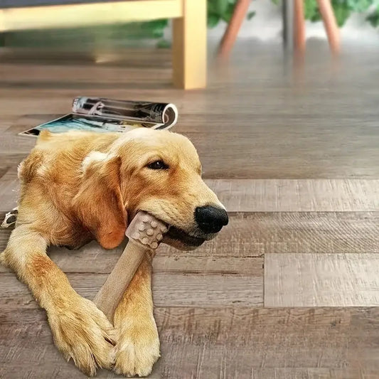 10x Hundezahnsticks - Training für große Hunde