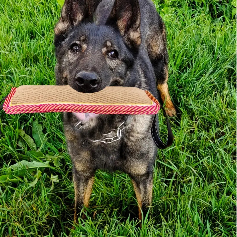 Strapazierfähiges Hundekauspielzeug mit Doppelgriffen