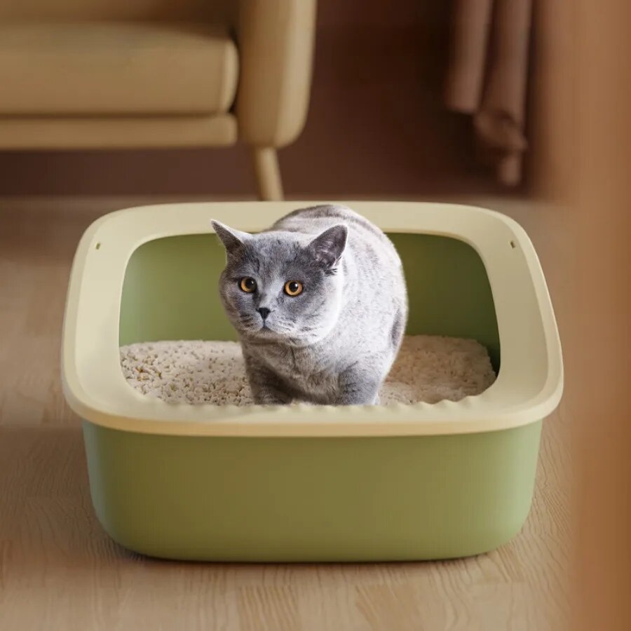 Katzenklo Blau - Katzentoilette mit Schaufel