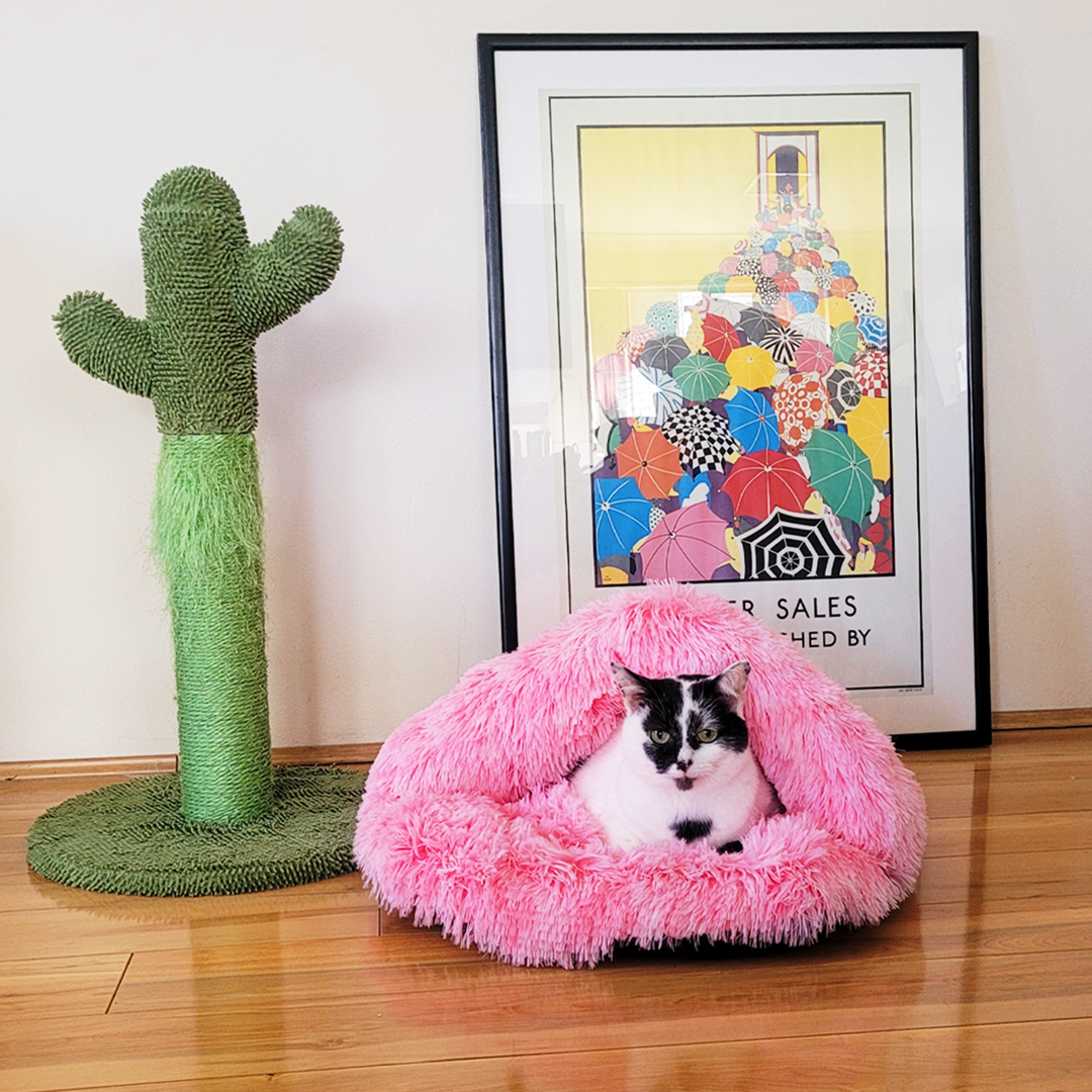 Chic Ombre-Pink Igloo-Katzenbett: Kuschelig & Stilvoll