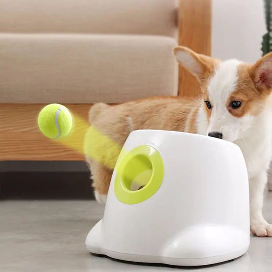 Fetch Go - Mini Tennis Ball Launcher für Hunde