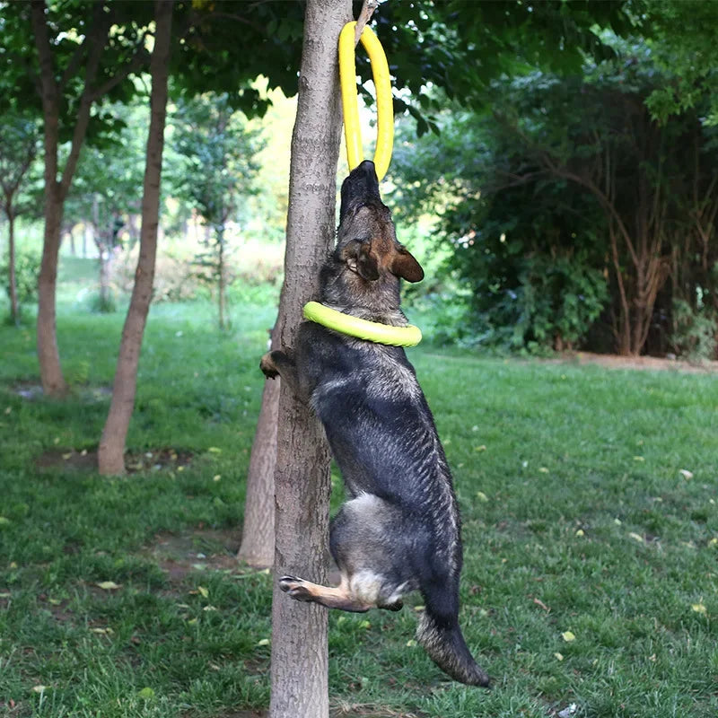 Agility - Weißer Schwimmender Training-Ring