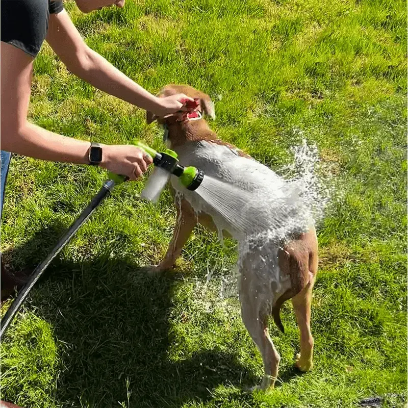 EasyPet Schaumdusche: Schnell, Spaßig & Effizient