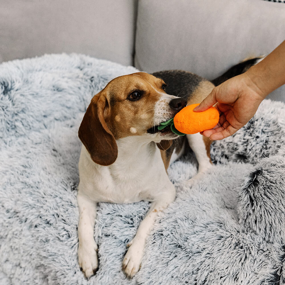 Beruhigungs-Schutzsofa für Hunde