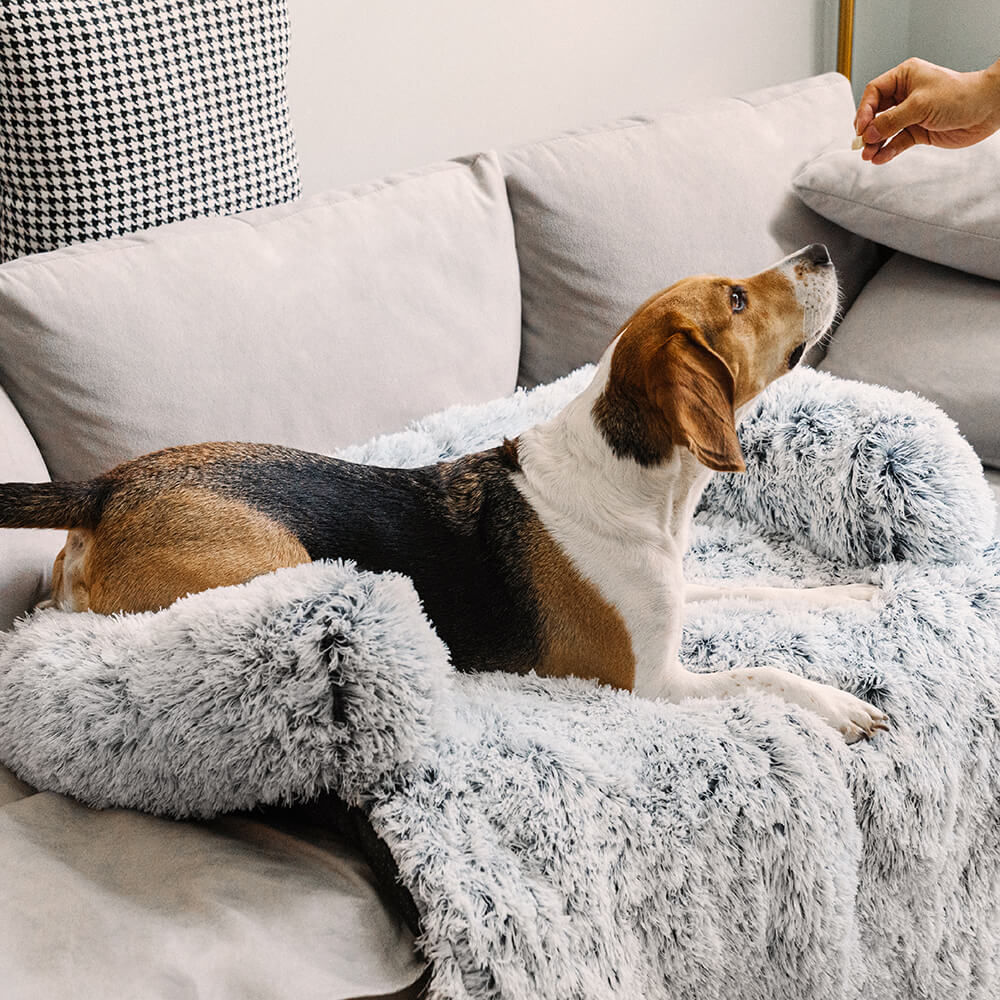 Beruhigungs-Schutzsofa für Hunde