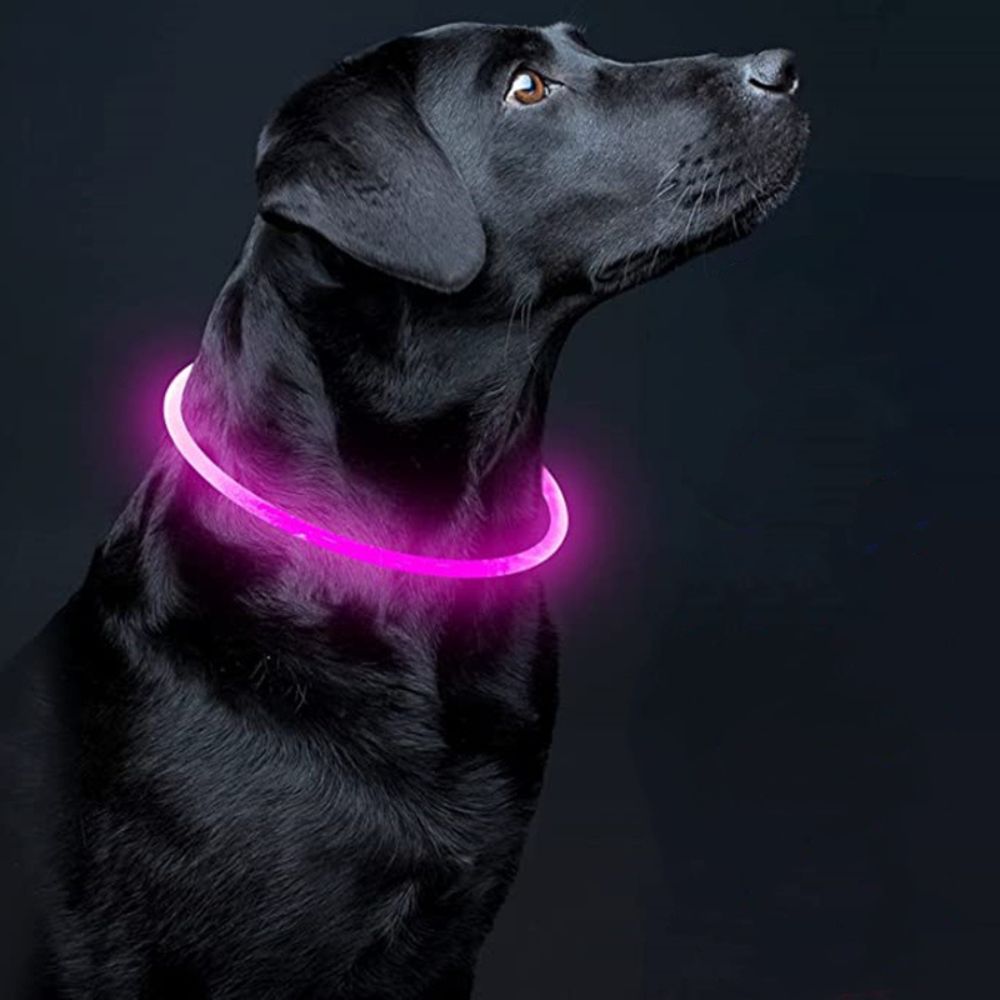 Leucht-Halsband PowerGlow – Sicher & Wiederaufladbar für Ihren Hund