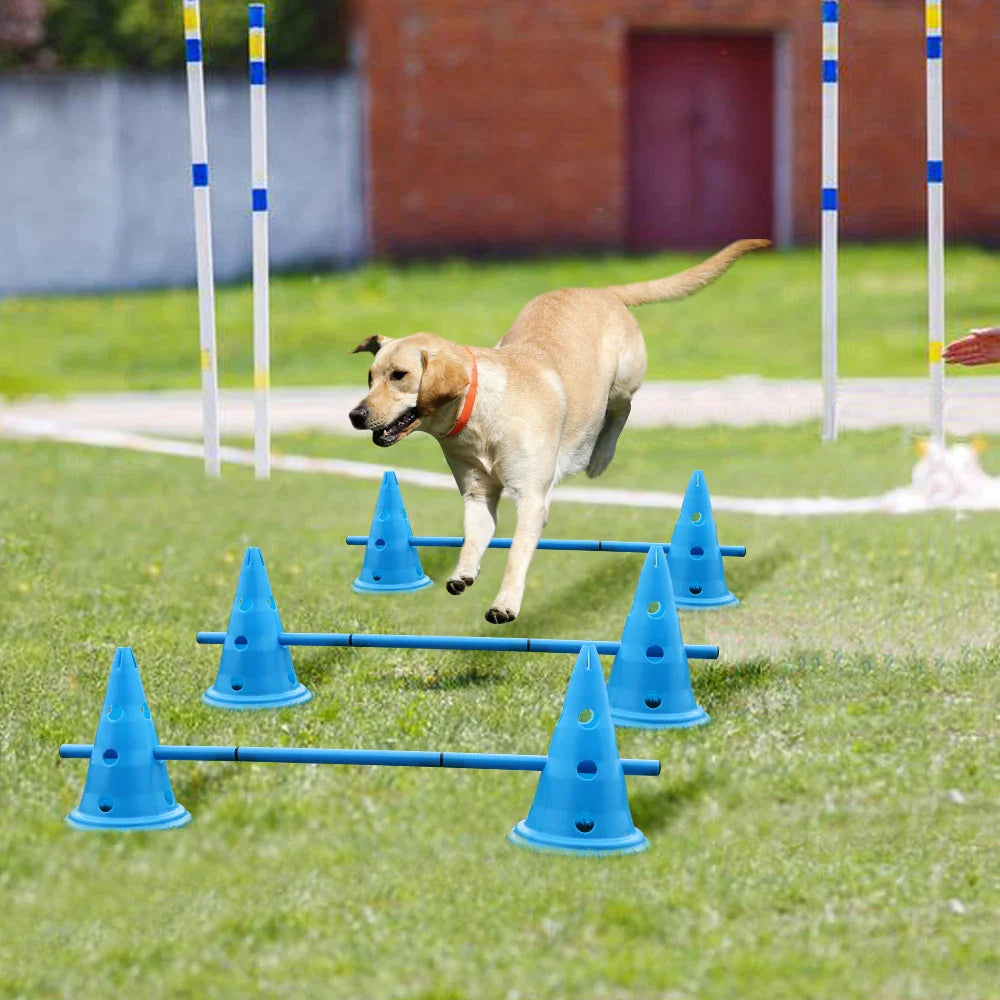 Hunde-Agility-Kegel und Stangen - Typ A