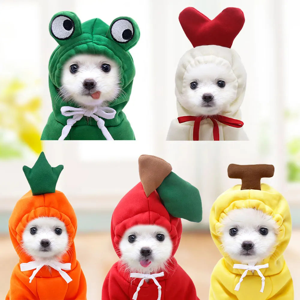 Fruity Fun Hoodies: Cozy & Cute Wear for Pets!