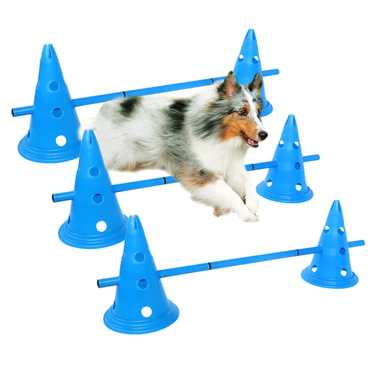 Hunde-Agility-Kegel und Stangen - Typ A