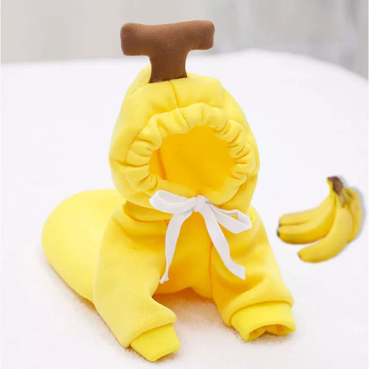 Fruity Fun Hoodies: Cozy & Cute Wear for Pets!