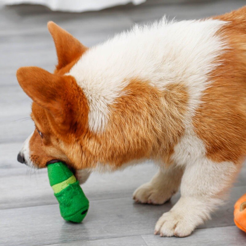 Schnüffelabenteuer - Interaktive Hundematte