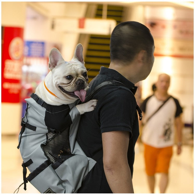 Komfort-Trage Rucksack für Hunde - Style A