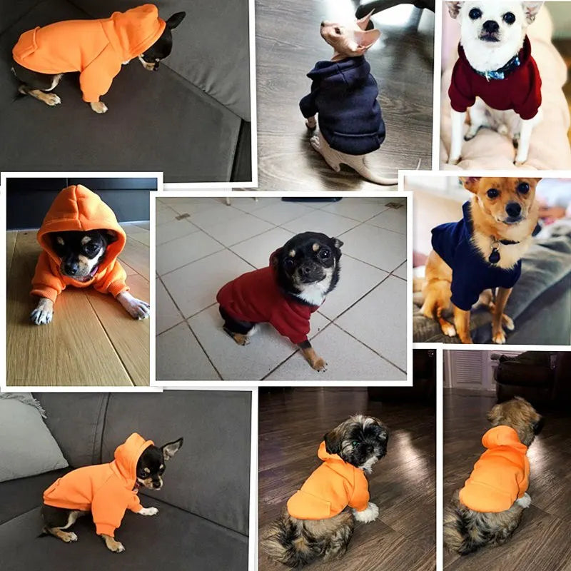 Snuggle - Dunkelblauer Hundehoodie