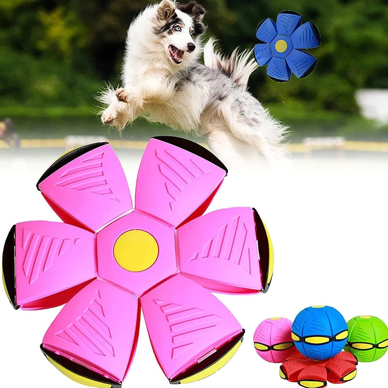 Fliegende Hunde-Frisbee: Spaß & Spiel für Ihren Vierbeiner!