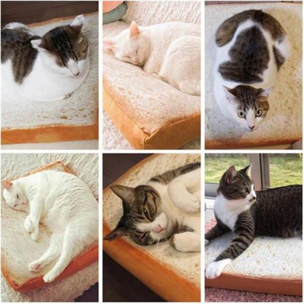 Snuggle Toast - Kuschelbett für Katzen