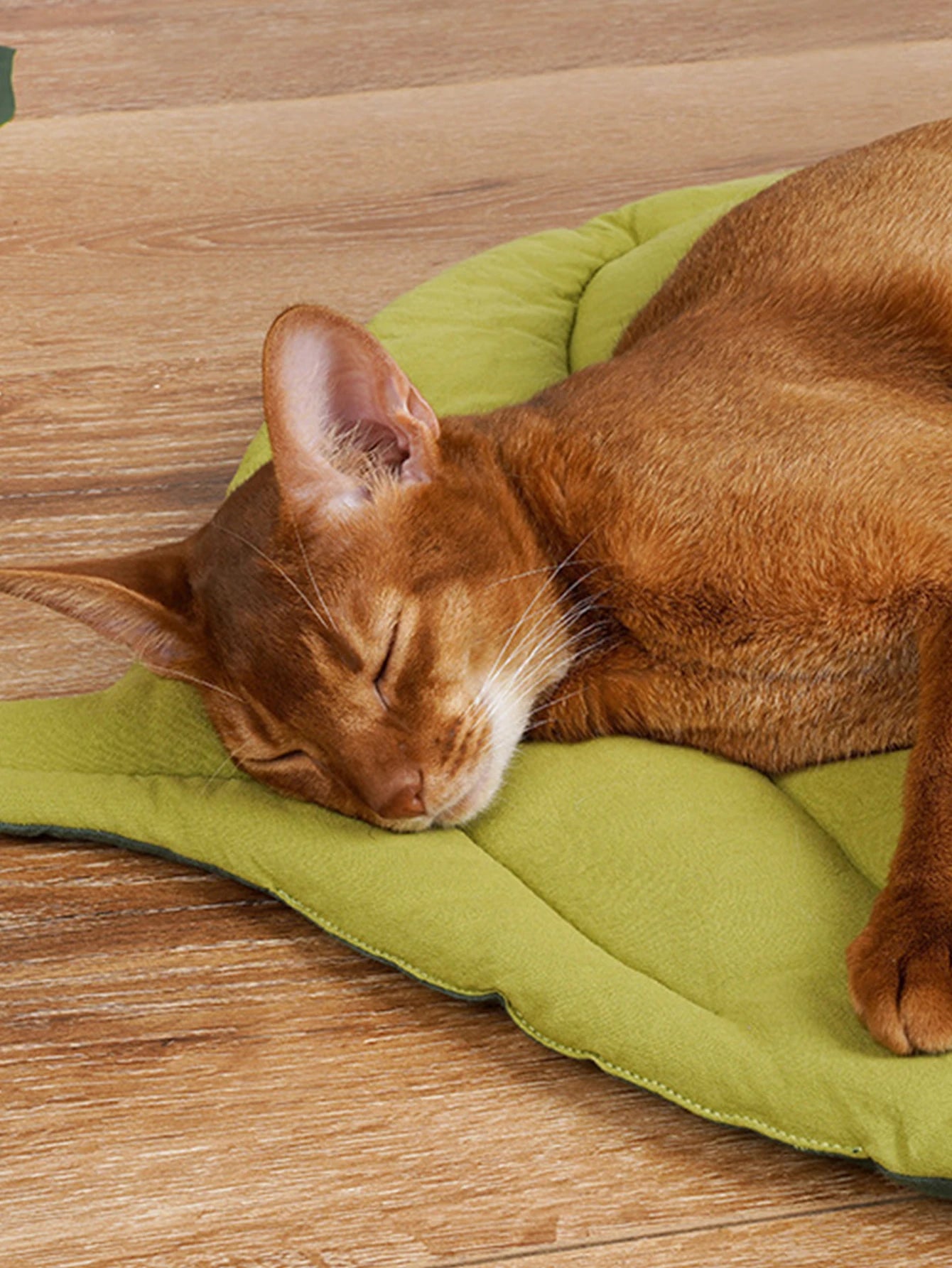 Laubnest - Grünes Blatt Katzenbett