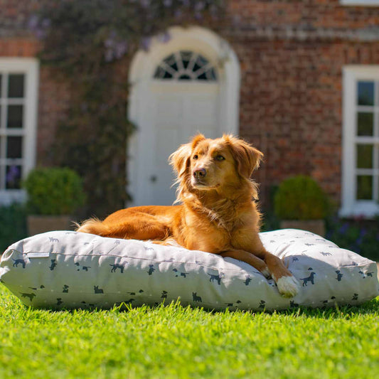 KuschelPolster - Weißes Hundekissen