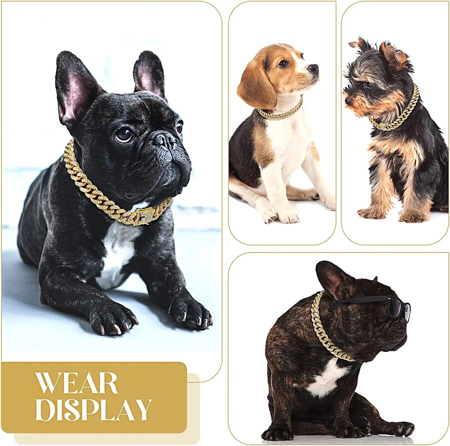 GlamourHals - Elegantes Hunde-Halsband