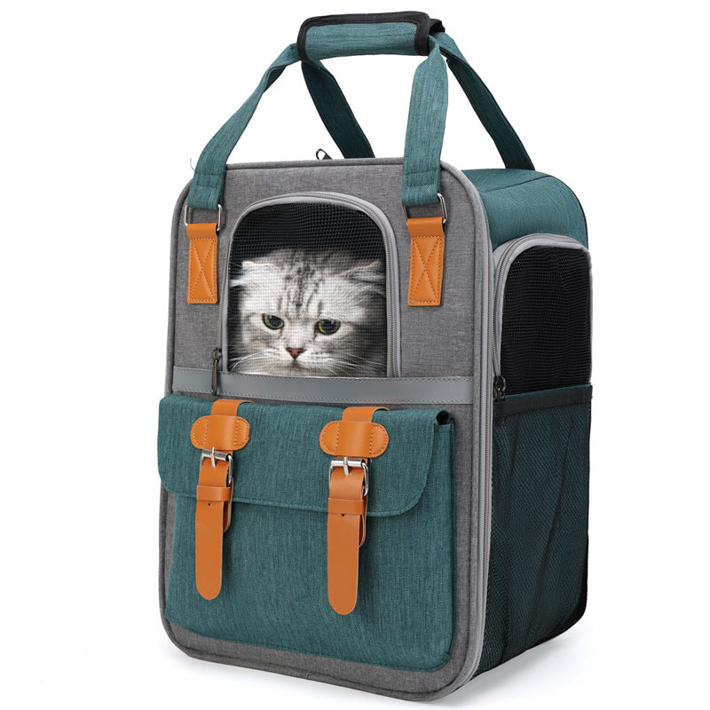 PurrPack – Abenteuer-Rucksack für Katzen