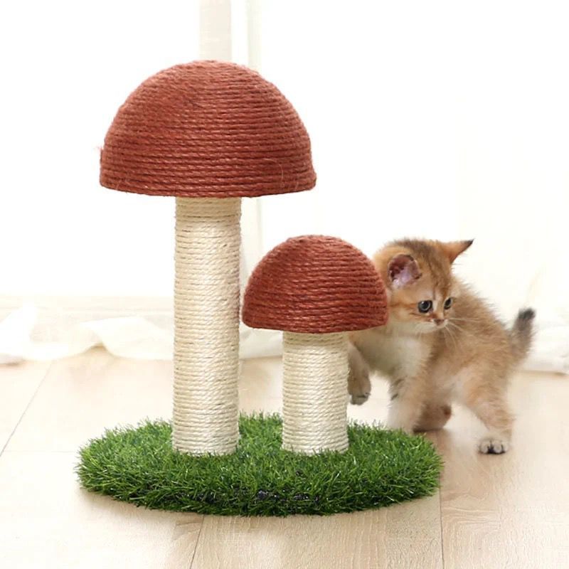 Katzen Pilz Kratzbaum aus Sisal