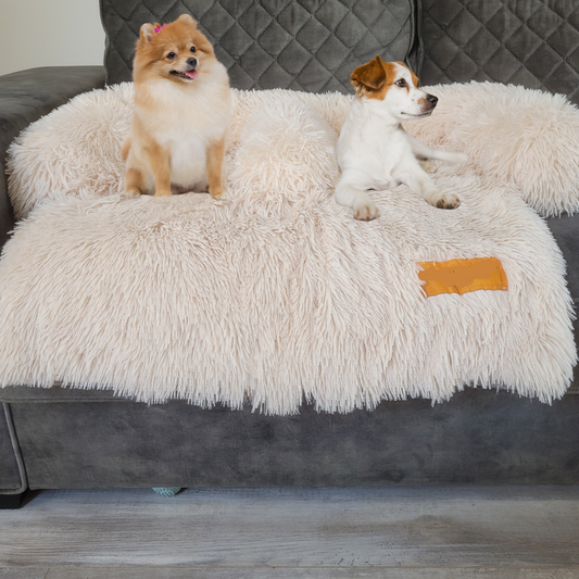 KuschelDecke Duo - Beige HundeDecke 2-in-1