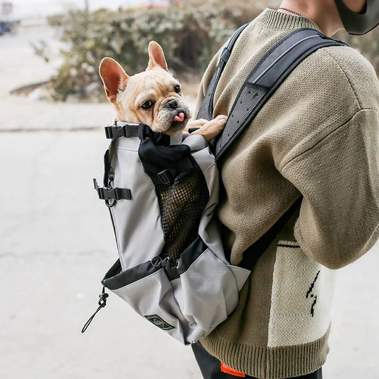 PfotenPfad - Schwarzer Hunde-Wander-Rucksack