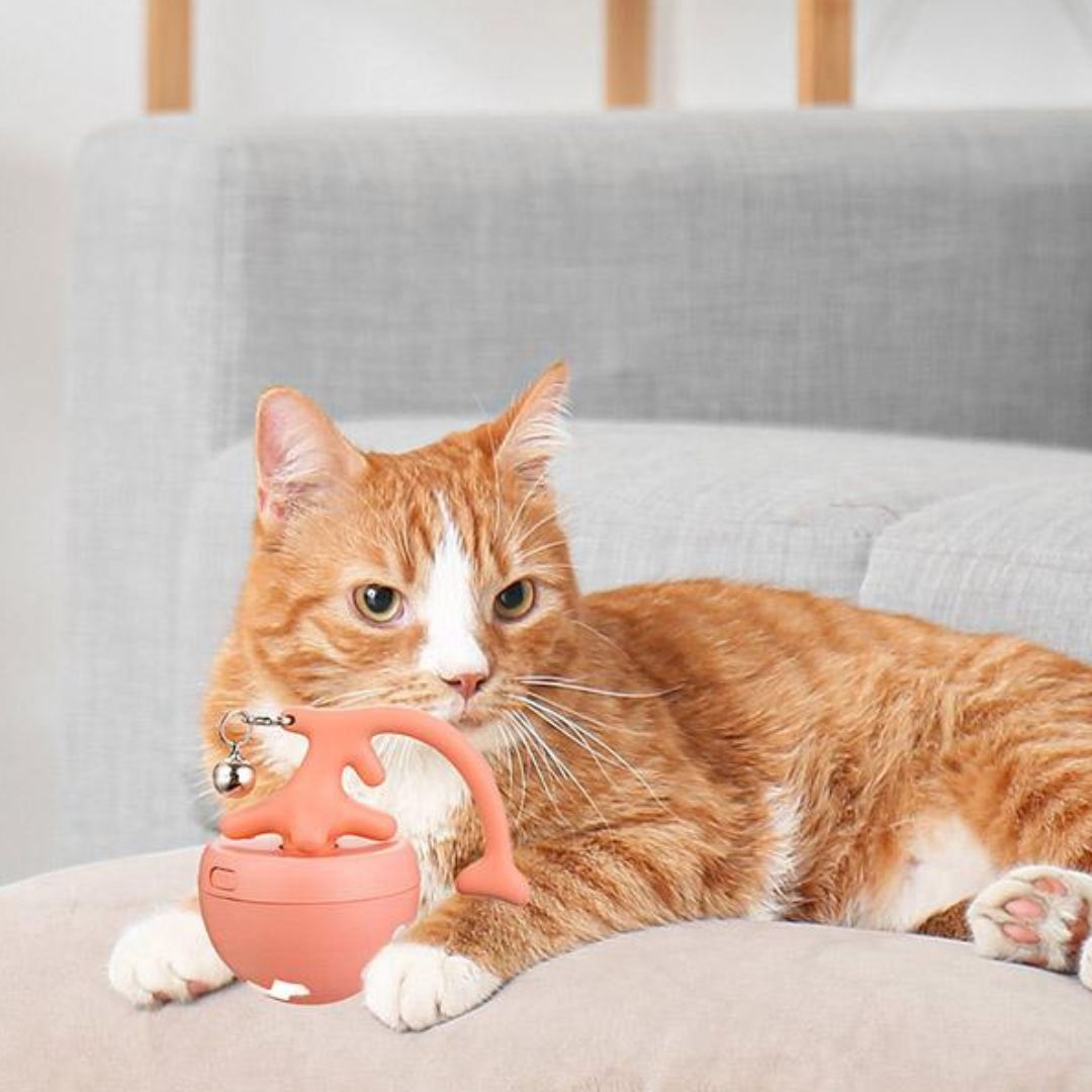 Interaktiver Katzenball mit Federn