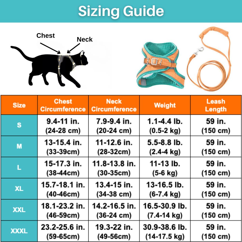 Komfort-Katzengeschirr Set: Sicher & Stilvoll Unterwegs