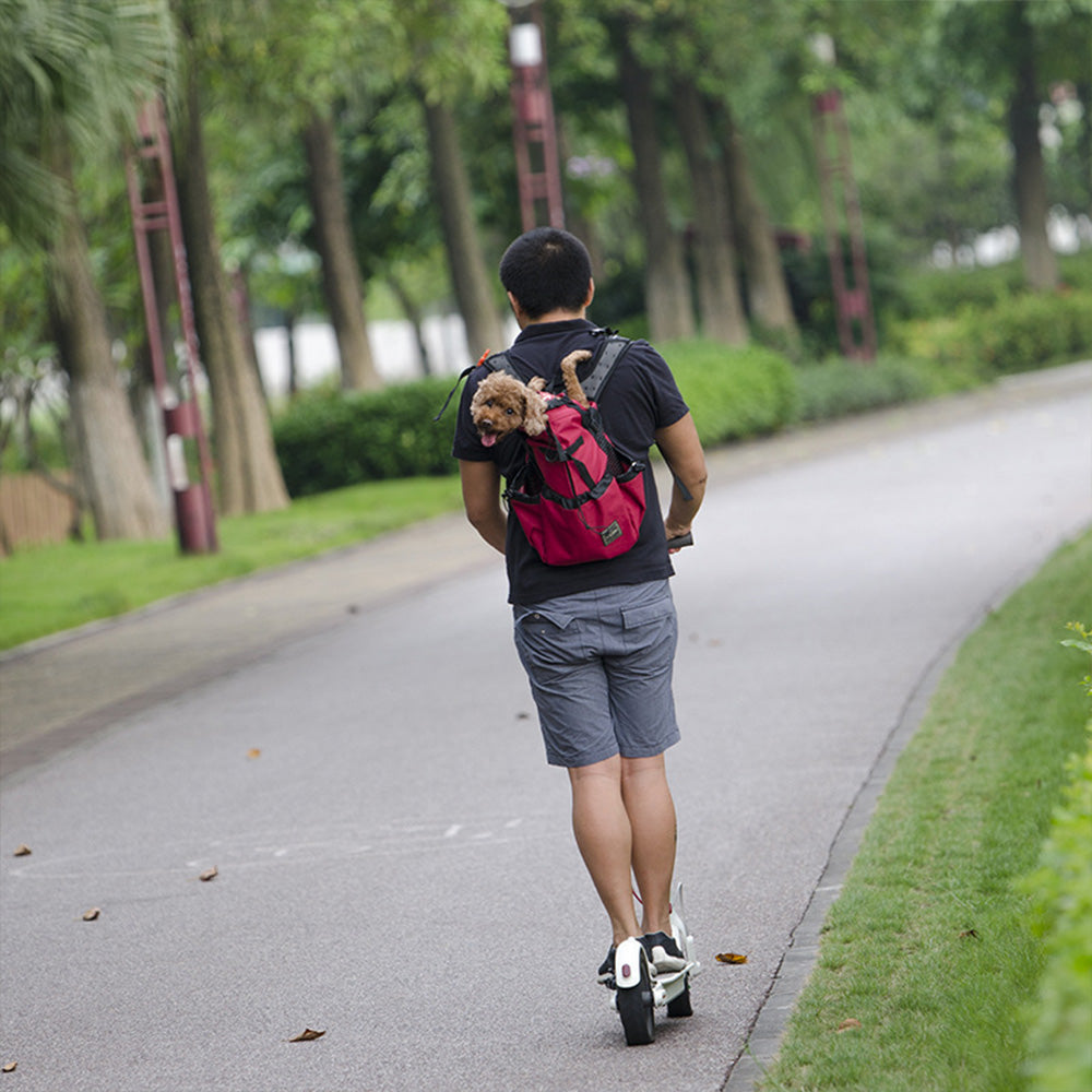 Komfort-Trage Rucksack für Hunde - Style A