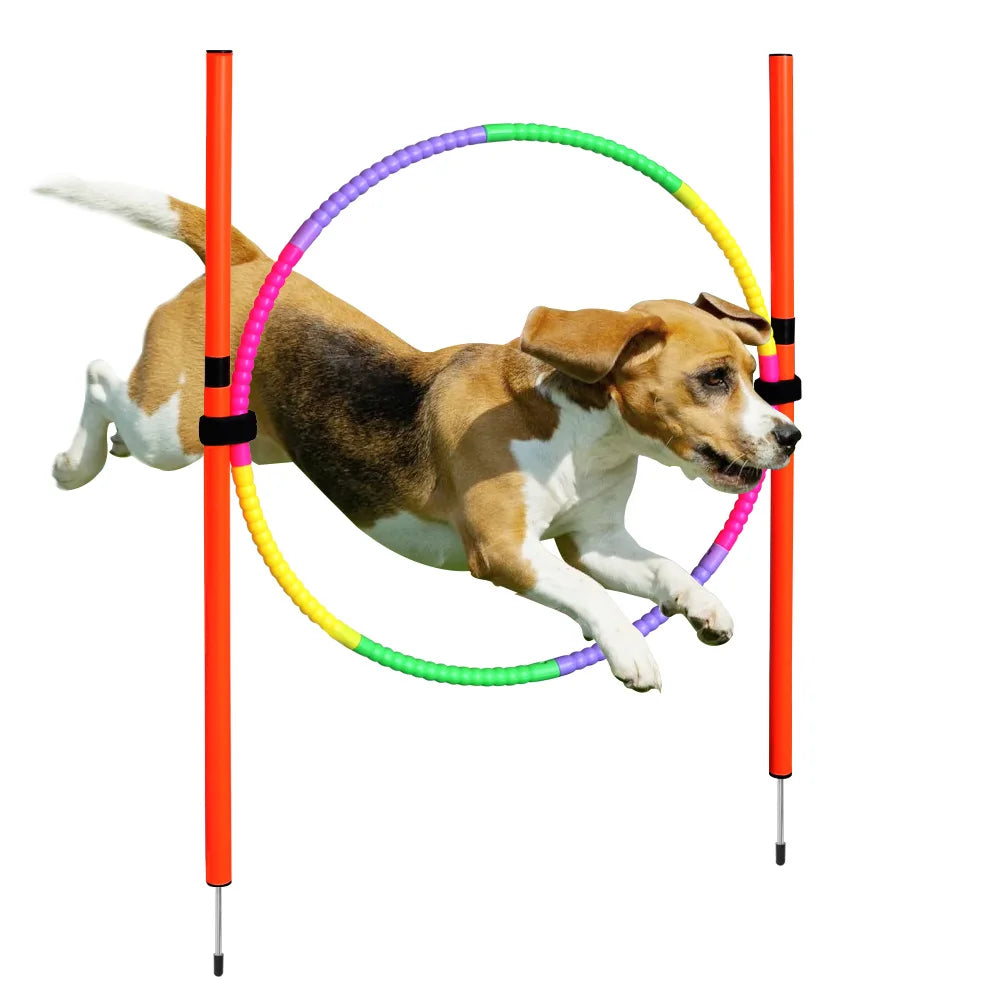 Agility-Sprungset für Hunde: Spaß & Fitness!