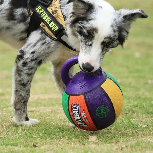 TrainerBall - Unzerstörbarer Trainingsball für Hunde