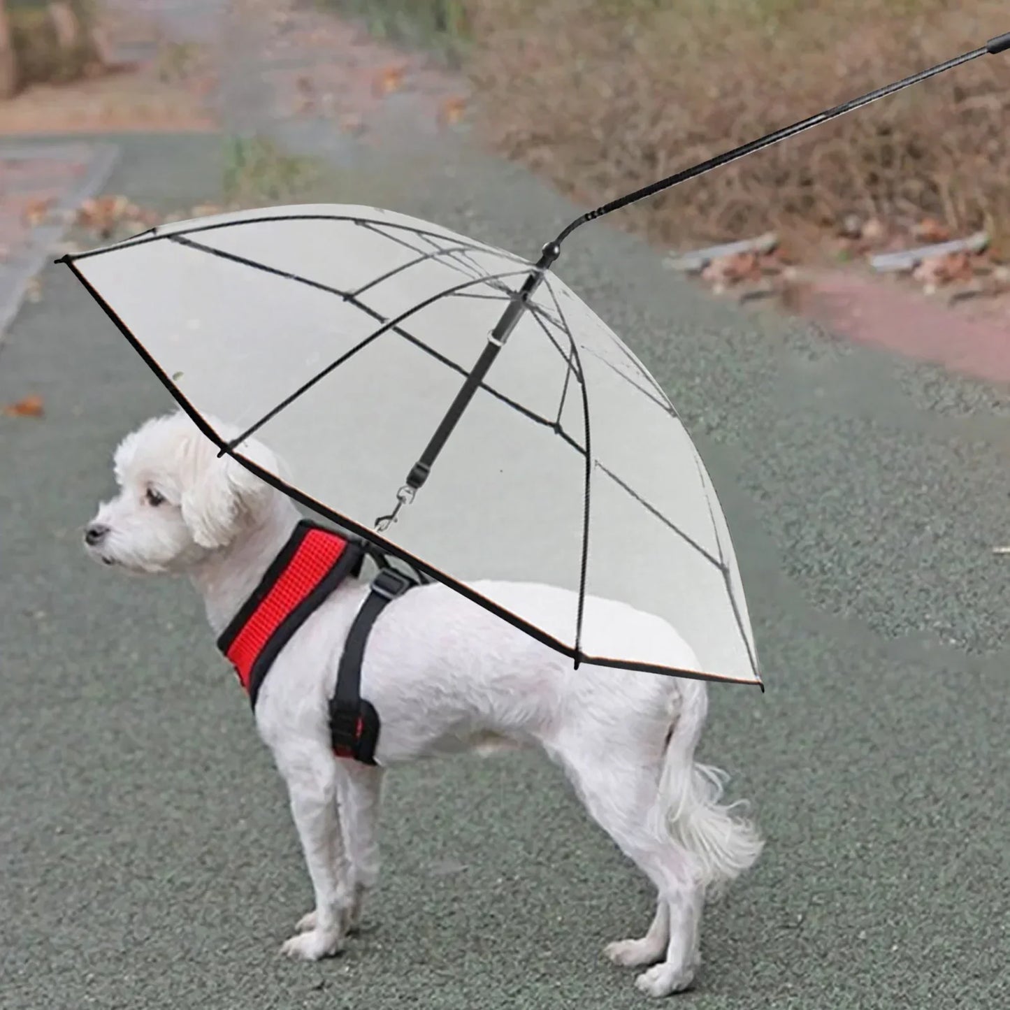 Hunde-Regenschirm