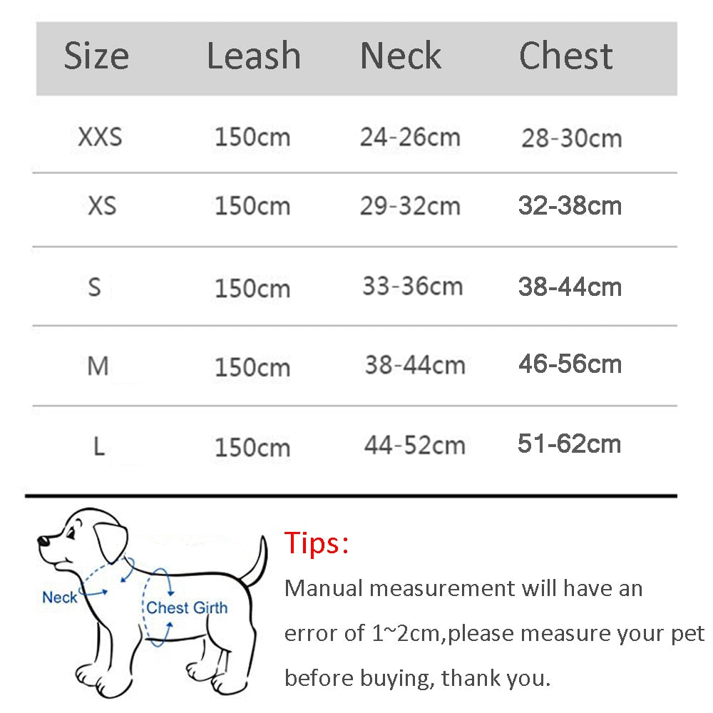 KomfortPlus Duo: Ergonomisches Hundegeschirr & Leinen-Set