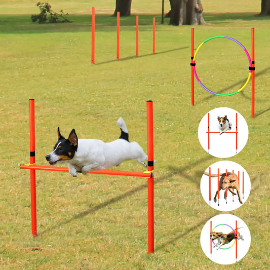 Agility-Sprungset für Hunde: Spaß & Fitness!