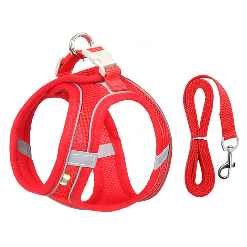 KomfortPlus Duo: Ergonomisches Hundegeschirr & Leinen-Set