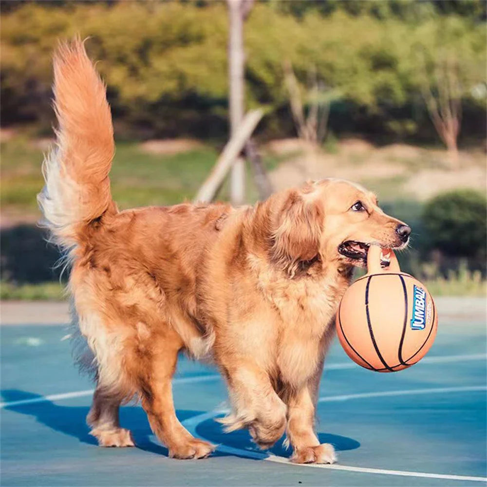 TrainerBall - Unzerstörbarer Trainingsball für Hunde