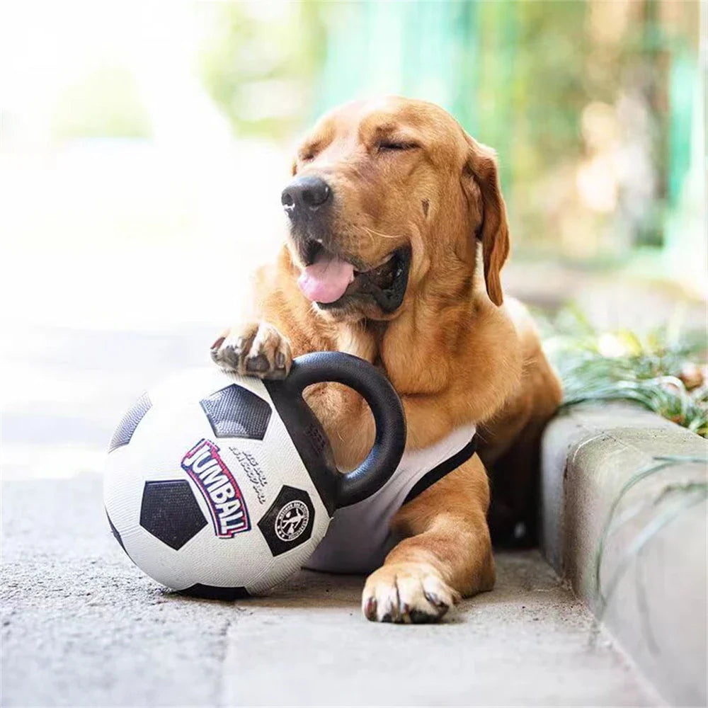 TrainerBall - Unzerstörbarer Trainingsball für Hunde