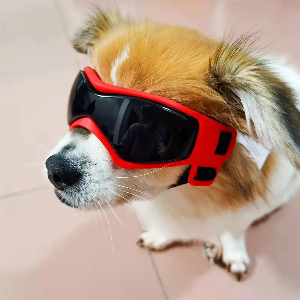 PuppyShades - UV-Schutzbrille für Hunde