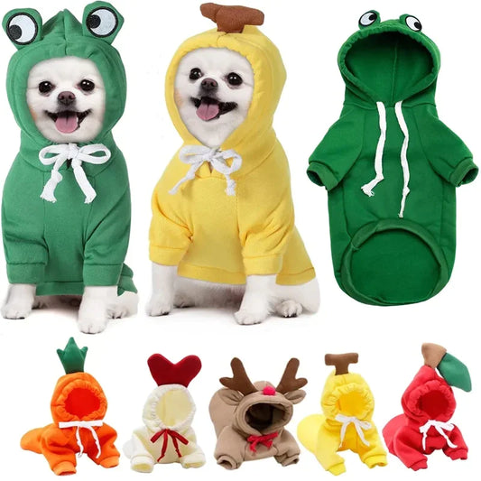 Fruity Fun Hoodies: Cozy & Cute Wear for Pets!