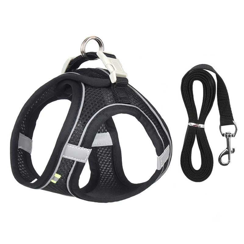 KomfortPlus Duo: Ergonomisches Hundegeschirr & Leinen-Set