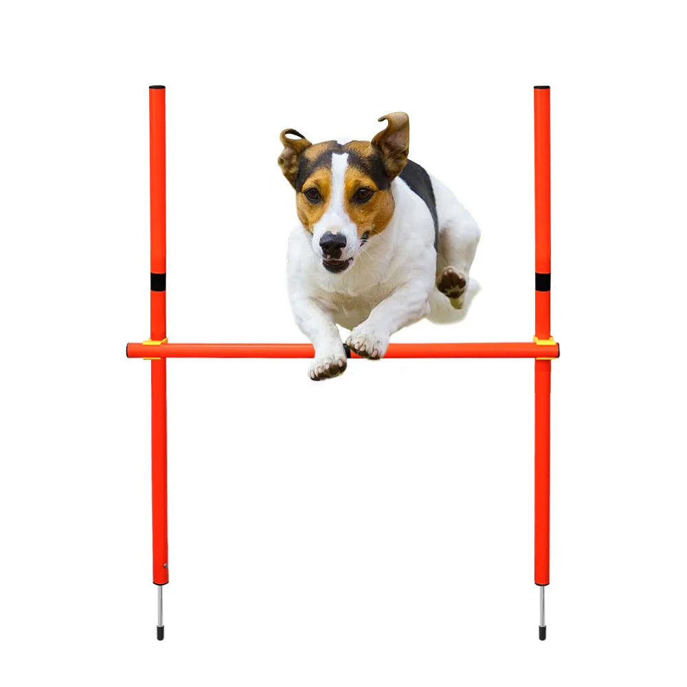 Agility-Sprungset für Hunde: Spaß & Fitness!