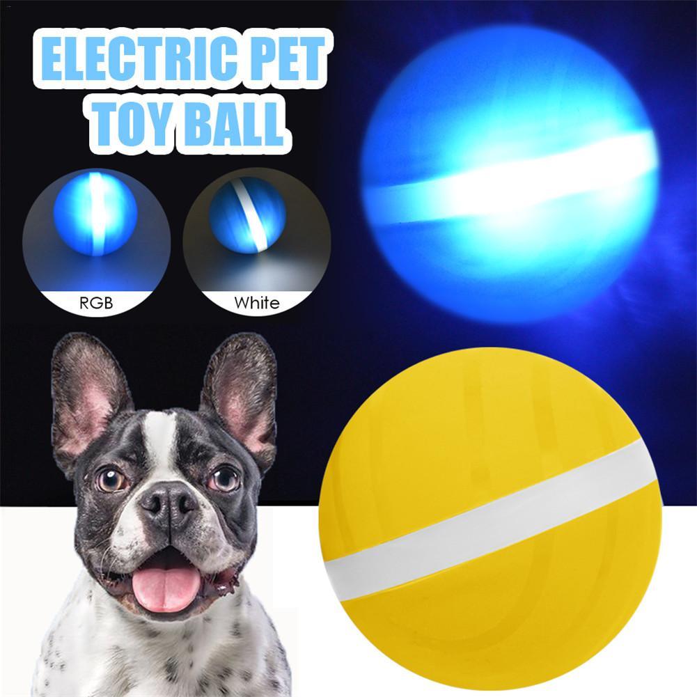 AktivBall Grün - Intelligentes USB-Rollspielzeug für Hunde