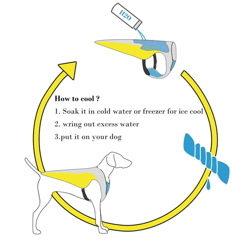 Kühlweste für Hunde: Schutz vor Überhitzung & Hitzschlag