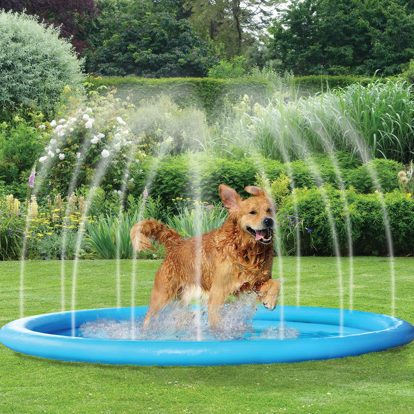 SplashFreund - Blauer Haustier-Sprinkler