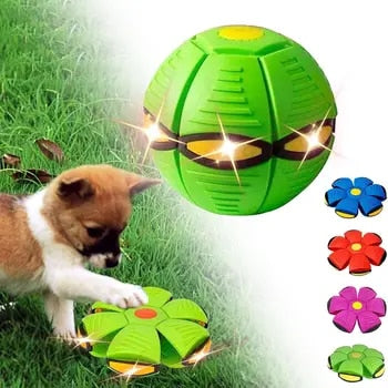 Fliegende Hunde-Frisbee: Spaß & Spiel für Ihren Vierbeiner!