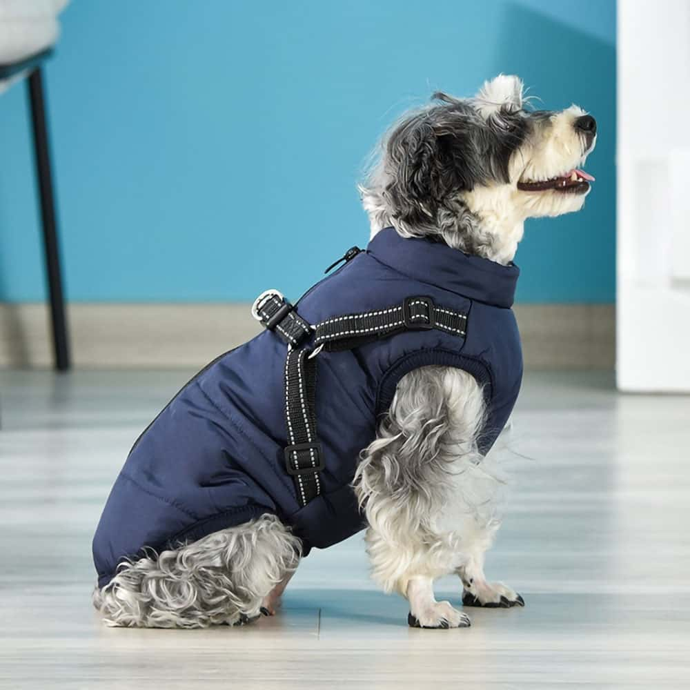 SmartShield Winterhundemantel - Wasserdicht & Integriertes Geschirr