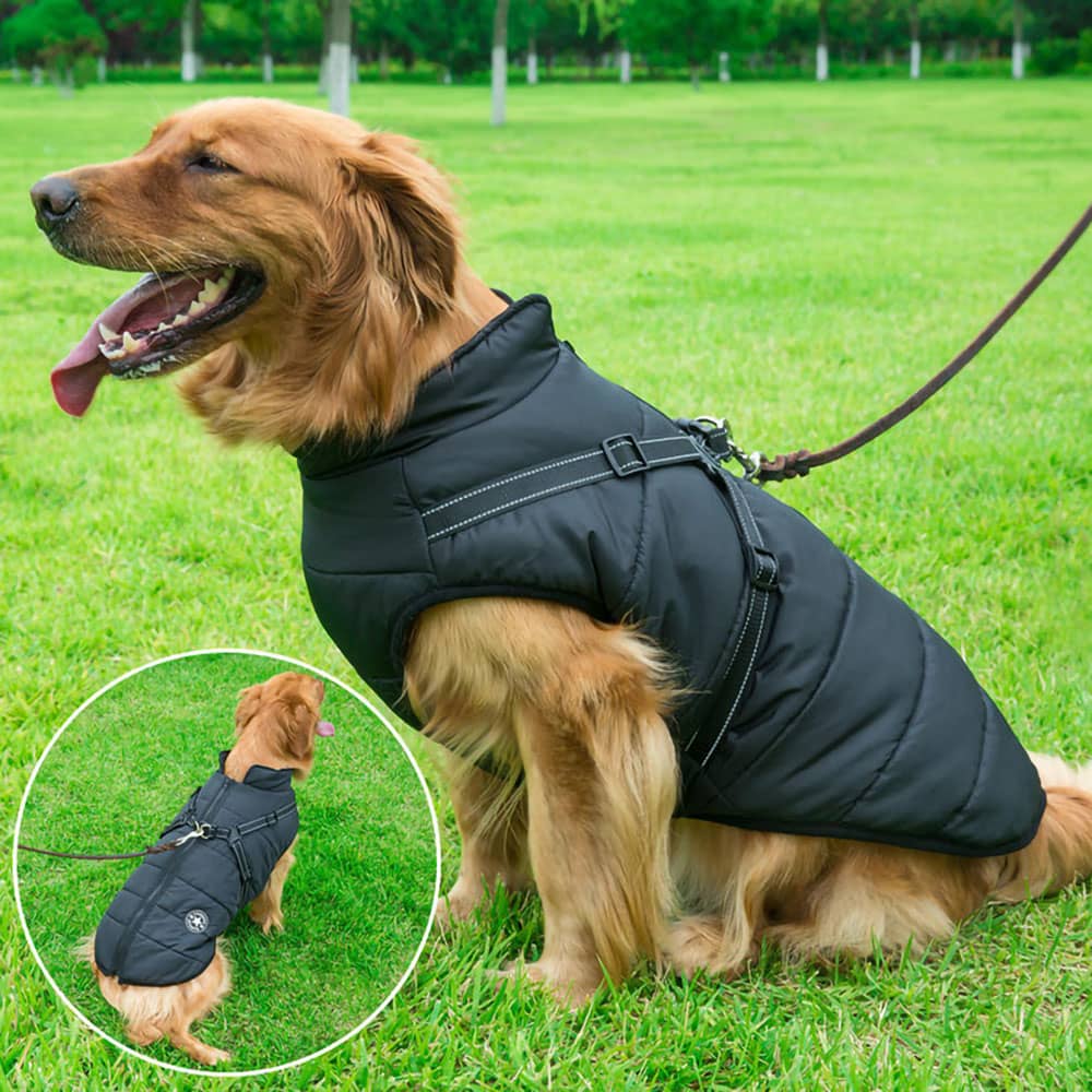 SmartShield Winterhundemantel - Wasserdicht & Integriertes Geschirr