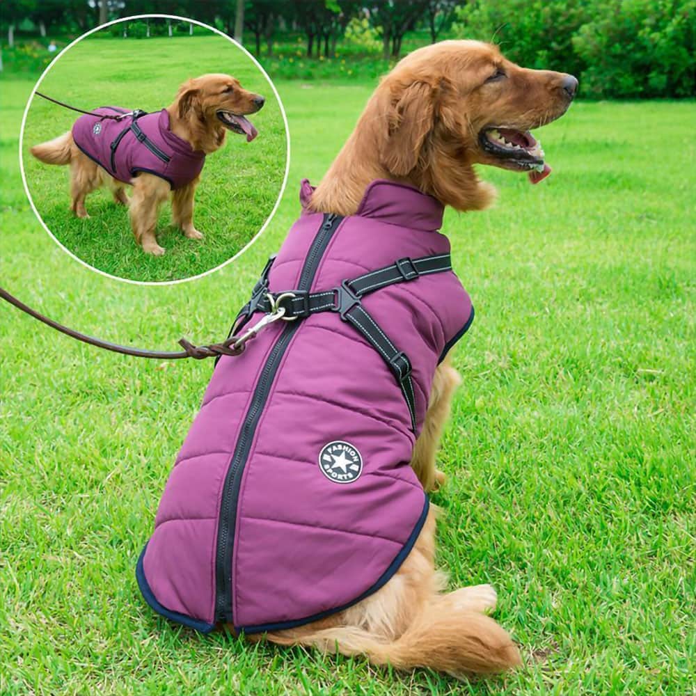 SmartShield Winterhundemantel - Wasserdicht & Integriertes Geschirr