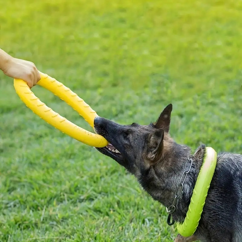 Strapazierfähige Hundewurfscheibe